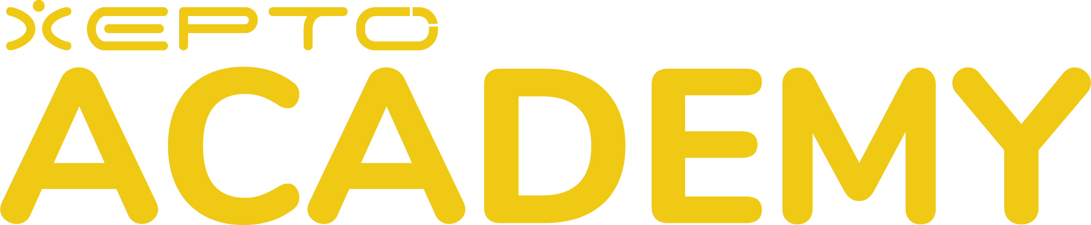Xepto Academy